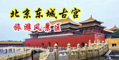 男人吃女人的逼视频中国北京-东城古宫旅游风景区